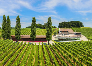 Dégustation de vins et de spécialités en Suisse orientale