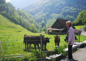 Guided tour - Berne and Emmental