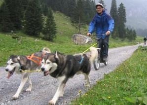 Scooter trips with huskies