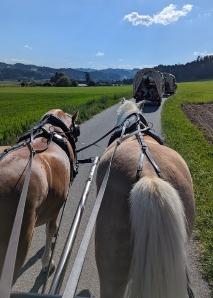 Sur la piste de Gotthelf
