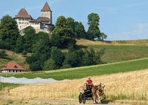Sur la piste de Gotthelf