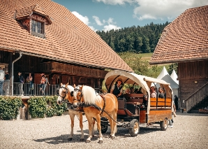 Balade en calèche pour déguster des grillades en Appenzell