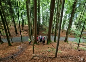 Mindfulness training in the forest