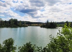 Tour im Naturschutzgebiet Nussbaumersee