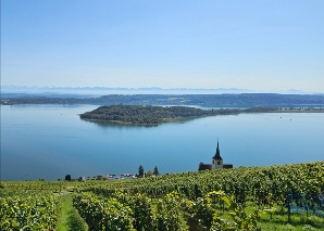 Randonnée viticole au bord du lac de Bienne avec dégustation