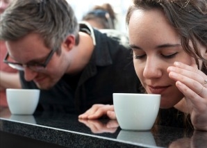 Sensory tasting in Solothurn