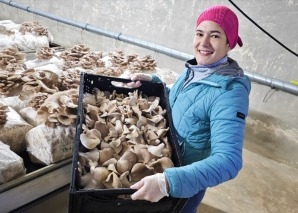 Mushroom cultivation workshop for teams