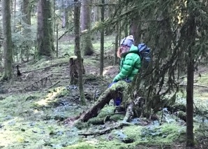 Mindfulness training in the forest