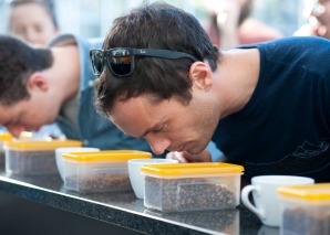 Sensory tasting in Solothurn