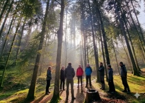 Mindfulness training in the forest