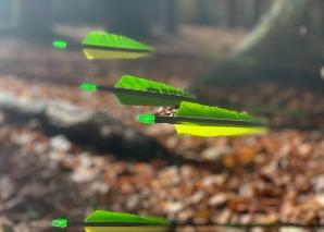 Tir à l'arc en équipe