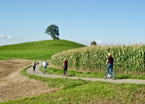 Excursion en trottinette avec trekking à dos de chameau