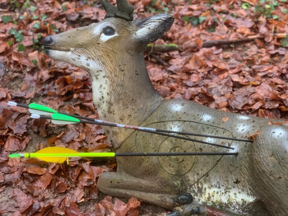 Tir à l'arc en équipe