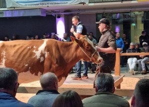 Kuhhandel - Viehauktion im Emmental hautnah erleben