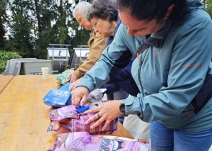 Mushroom cultivation workshop for teams