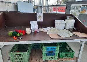 Kräuter-Workshop am Bodensee