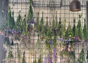 Atelier de fleurs séchées