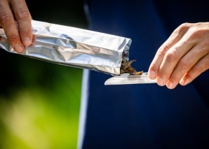 Sensory tasting in Solothurn