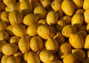 Limoncello selber herstellen im Team