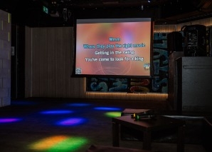 Private karaoke event for teams