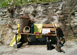 Wine hike, tasting and puzzle fun on Lake Geneva