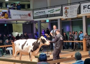 Kuhhandel - Viehauktion im Emmental hautnah erleben