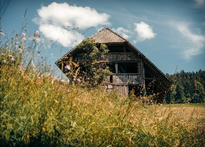 Les jeux originaux d'Emmental