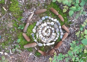 Mindfulness training in the forest