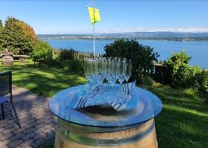 Randonnée viticole au bord du lac de Bienne avec dégustation
