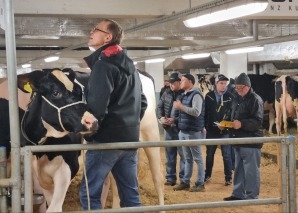 Kuhhandel - Viehauktion im Emmental hautnah erleben