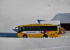Événement hivernal autour de la luge à Grindelwald