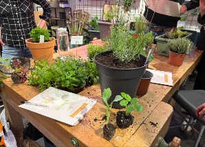 Get to know urban gardening