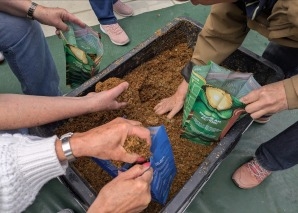 Mushroom cultivation workshop for teams