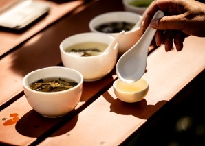 Sensory tasting in Solothurn