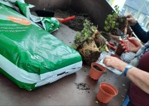 Kräuter-Workshop am Bodensee