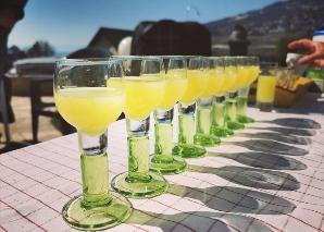 Limoncello selber herstellen im Team