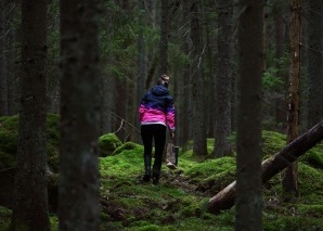 Survival-Team-Challenge «Essbare Wildpflanzen»