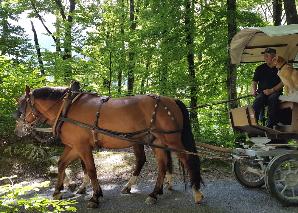 Tier-Safari mit dem E-Bike