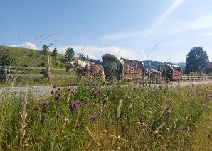 Parc solaire - l'excursion écologique en équipe