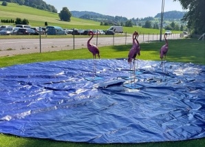 Flamingo Ringo