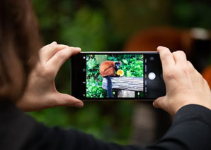 Smartphone photo workshop at Zurich Zoo