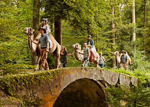 Trotti fun with camel trekking