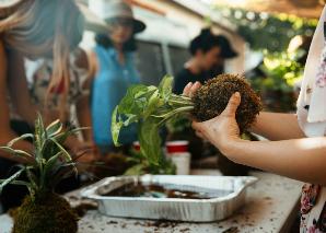 Kokedama selber machen