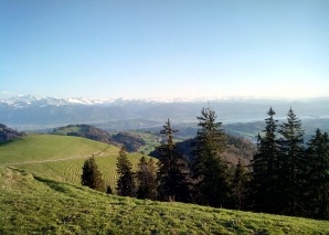Tour panoramique en quad