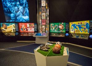 Safari feeling at Zurich Zoo and FIFA Museum