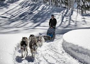 A round trip on a dog-drawn sleigh in central Switzerland