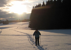 Snowshoeing in the Jura