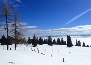 Raquettes à neige dans le Jura