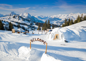 Snowshoeing for fondue in the igloo near Davos