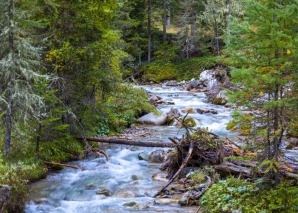 Tour du Parc national suisse